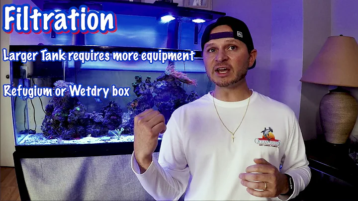 Beginners guide to setting up your first saltwater aquarium