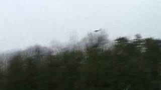Hobbyzone Super Cub Flight with a crash