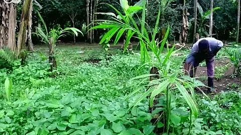 Como é a relação entre as comunidades tradicionais e a natureza?