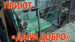 ПРИЮТ ДАРИ ДОБРО В СОШЕНИ ДО БОЛИ В СЕРДЦЕ ПРИЮТ ДАРИ ДОБРО В СОШЕНИ ДО БОЛИ В СЕРДЦЕ