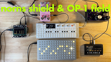 Minimal ambient w/ norns shield, OP-1 field, wavestick | Lost Raindrops 2025-06-11  by atnr
