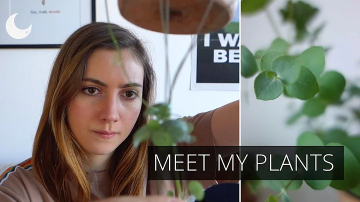 ASMR Show and Tell - Meet My Plants 🌱
