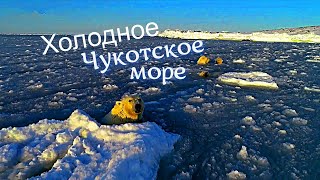 Холодное Чукотское Море