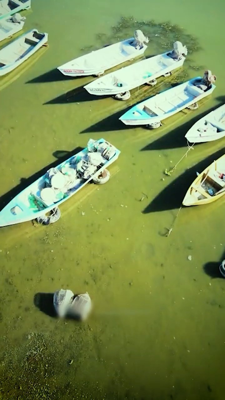 Todo Jalisco debe proteger el Lago de Chapala
