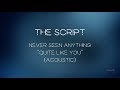 Download Lagu The Script - Never Seen Anything "Quite Like You" (Acoustic) | Lyrics video