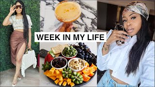 WEEKLY VLOG | Shooting Content, Brunch, Suite Tour + Spa Day!