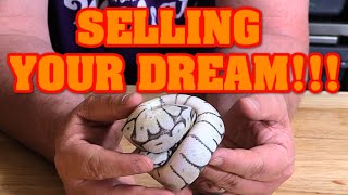 What should you REALLY be selling as a SNAKE BREEDER? Don't just sell a BALL PYTHON, sell a DREAM!! Selling Affordable Ball Pythons While Being A New Breeder