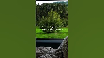 ياايها الذين آمنوا اذكروا الله ذكراً كثيرا | القارئ ياسر الدوسري...✨💛