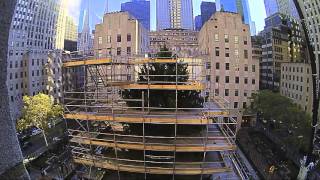 Rockefeller Center Christmas Tree 2015