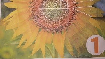 O level maths, D1, EX, 3C, complete.