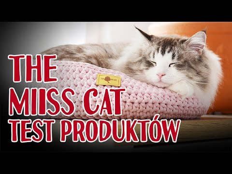 Wideo: Gamavit Dla Kotów: Jak Używać?