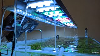 CARA MEMBUAT LED HPL AQUASCAPE D I Y ( MUDAH GAK RIBET )