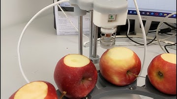 WONDERFAST in 2022 measuring apples firmness