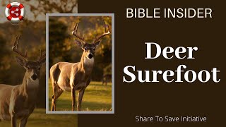 Deer Surefoot - Bible Insider English S01E09