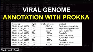 Viral genome annotation wth prokka