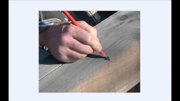 Understanding reference faces video 1