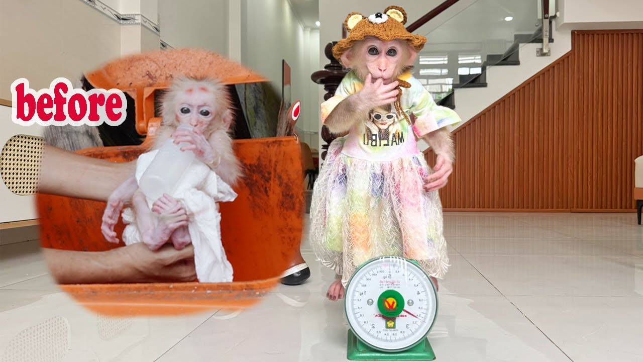 How Lucky changed after 4 months of being rescued?