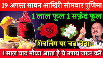 19 अगस्त सावन आखिरी सोमवार पूर्णिमा के दिन 1 लाल फूल 1 सफेद फूल का उपाय जरूर करे | Pradeep Ji Mishra