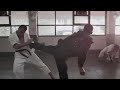 SCOTT ADKINS vs - RON SMOORENBURG - NINJA II - DOJO FIGHT - 1 TAKE SHOT - Bangkok - Thailand