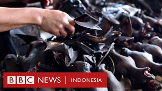 Virus corona: Kenapa kelelawar dituding jadi penyebar Covid-19? - BBC News Indonesia
