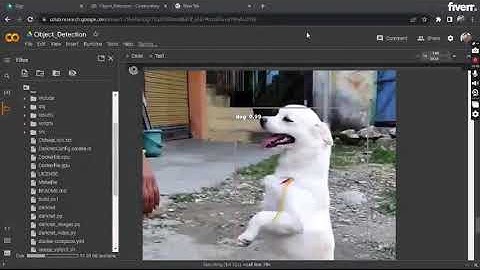 Learn how to do deep learning using yolo, tensor flow, keras, pytorch and opencv