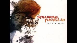 You Suck - Strapping Young Lad W/ Lyrics