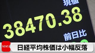 日経平均株価は小幅反落　16円安（2024年2月19日）