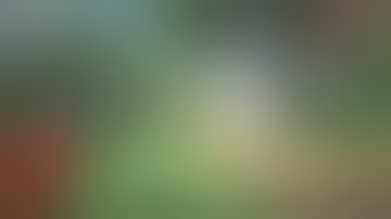 How to download shader for Minecraft pe easy and fast/MINECRAFT FUSTER