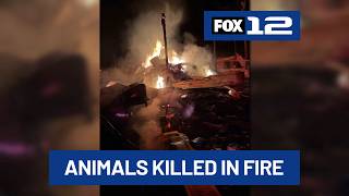Amity family loses animals in barn fire, 3 years after house fire