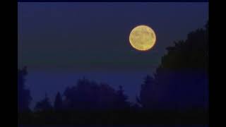 AURORA - Soft Universe (unofficial music video) screenshot 4