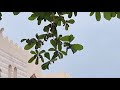 سورة النصر الشيخ يوسف البلوشي من صلاة الجمعة 1 5 2026 م