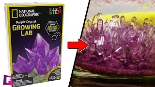 National Geographic Verde Cristal De Calcita creciente laboratorio crecer a su propio kit de cristales 