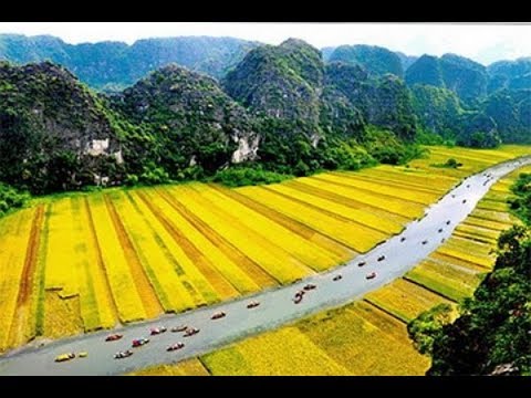 ninh bình mùa lúa chín New 2022 Tam Cốc - Ninh Bình Mùa Lúa Chín