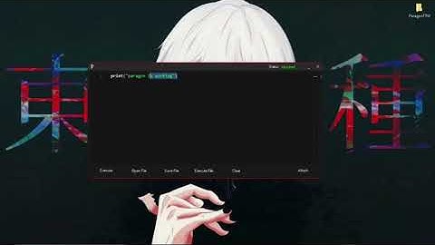 Paragon X | BEST ROBLOX EXPLOIT/INJECTOR [LUA] LEVEL 7 SCRIPT EXECUTOR! | FREE ROBLOX EXPLOIT!