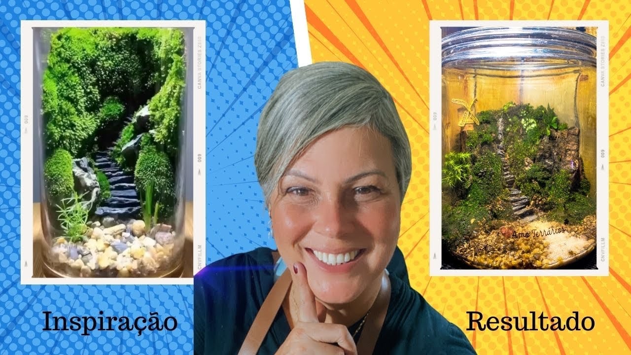 Terrário com Argila será que dá certo? #terrarios