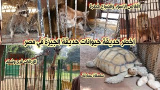 حديقة الحيوان في الجيزة مصر واجمل اللقطات لجميع الحيوانات وظهور الزرافات فرح وشهد