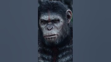 Famous Monkeys whatsapp status full screen by KING OF STATUS #short