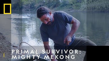 How To A Build A Raft From Scratch | Primal Survivor: Mighty Mekong | National Geographic UK