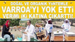 Arıcılık Nasıl Yapılır, Para Kazandırır Mı? Varroa Mücadelesi Ne Zaman Yapılmalı? Aslıhan Arıcılık