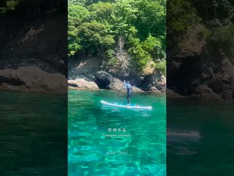 【福井・青の洞窟】愛犬と一緒に楽しむ常神半島デート 若狭の海で癒し体験 #PLUSWILD #プラスワイルド #福井観光 #青の洞窟