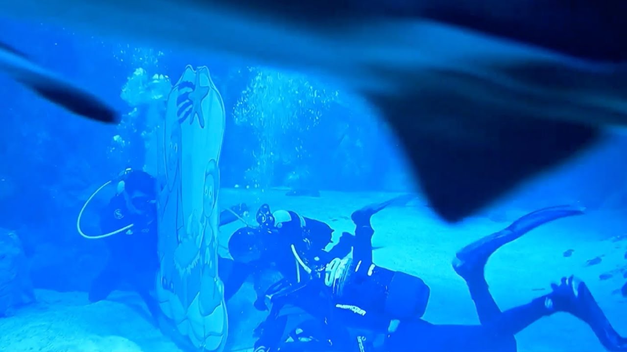 На дне мадридского аквариума с акулами построили рождественские ясли