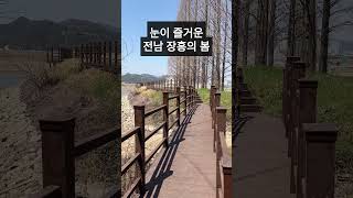 눈이 즐거운 전남 장흥의 봄 - 평화저수지