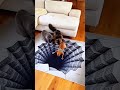 Floor Trick Prank on Cats 🐱 (Hilarious Reactions!)