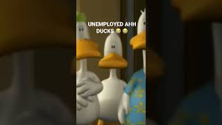 Whats Wrong With These Ducks