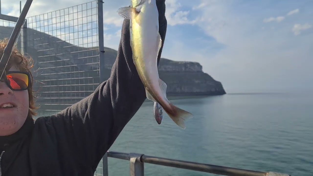 Llandudno Pier fishing 160422 YouTube