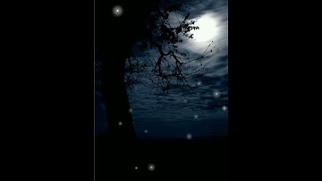 القرآن حالات واتس اب |القارئ شريف مصطفى  |آيات من سورة المزمل راحة نفسية🎧💙