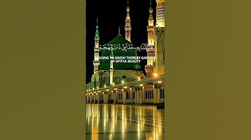 تلاوة قرأنية خاشعة ومؤثرة ما تيسر من سوره النمل...