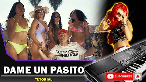 Dame un pasito | Los del Sabor