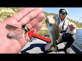 Will fishing these tiny baits work to catch big bass