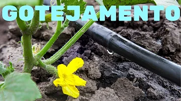 Quais são os 3 tipos de irrigação?